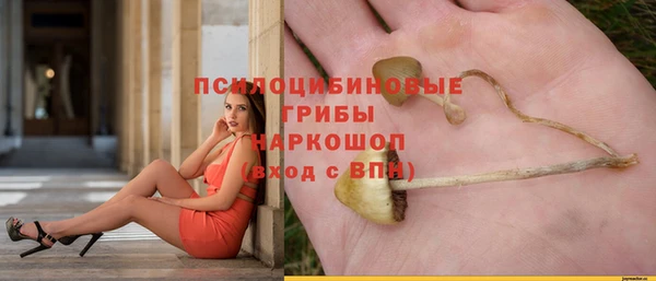 стафф Баксан